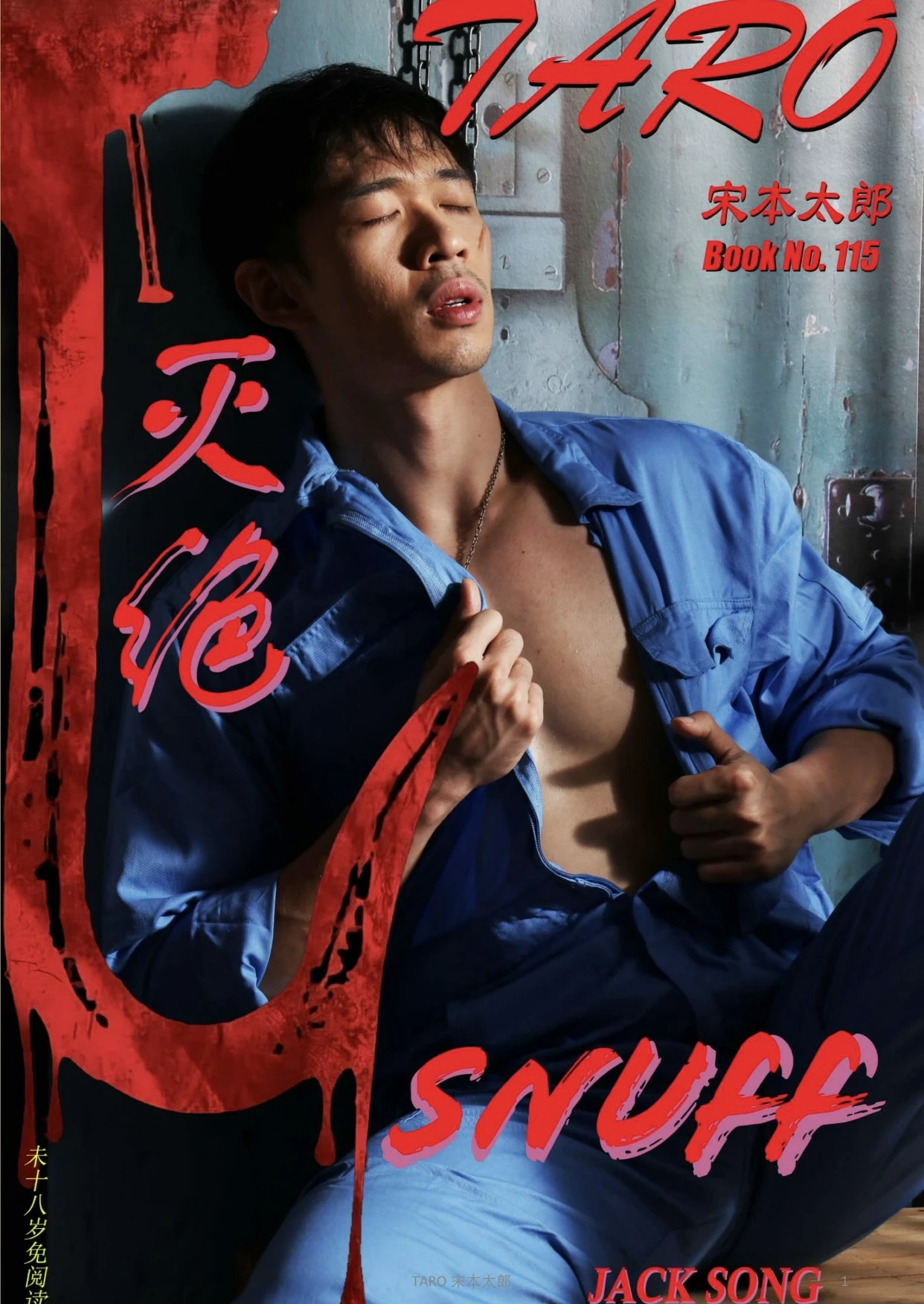 MAGAZINE-TARO-115-EBK--TARO-117-VID