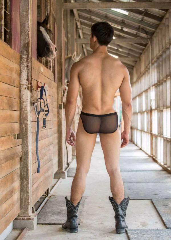 AVENUE-01-–-The-New-Beginning