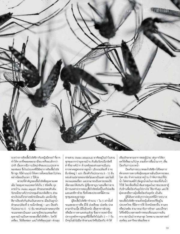 Attitude-February-2016