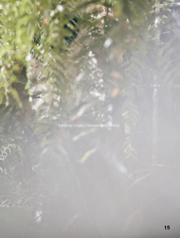 Aurora-11--Ky-Plut-Extra-A-B