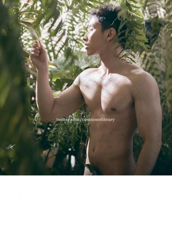 Aurora-11--Ky-Plut-Extra-A-B