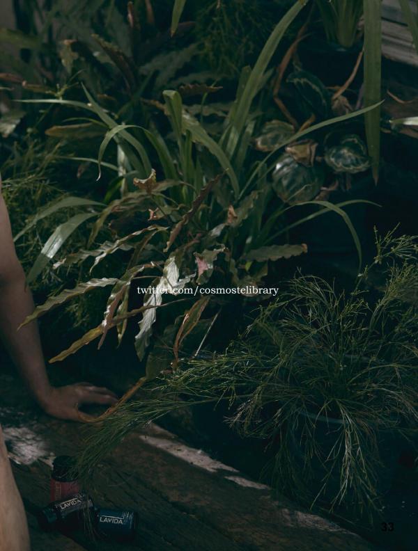 Aurora-11--Ky-Plut-Extra-A-B