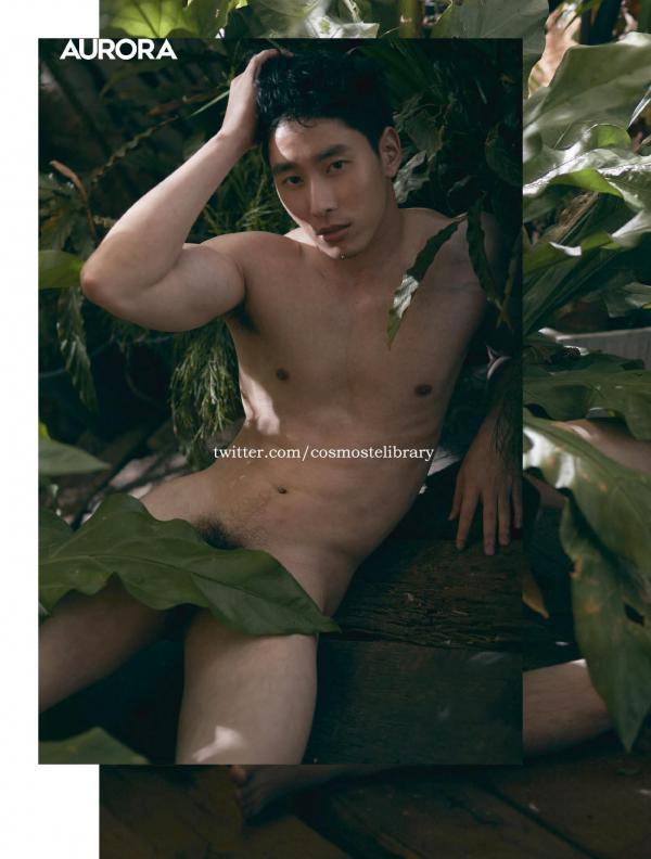 Aurora-11--Ky-Plut-Extra-A-B