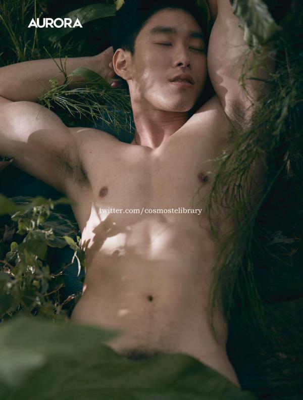 Aurora-11--Ky-Plut-Extra-A-B