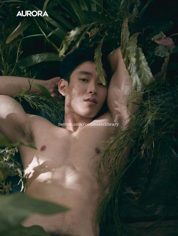 Aurora-11--Ky-Plut-Extra-A-B