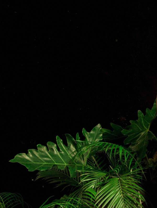 BAO-02--The-Yummy-Boy