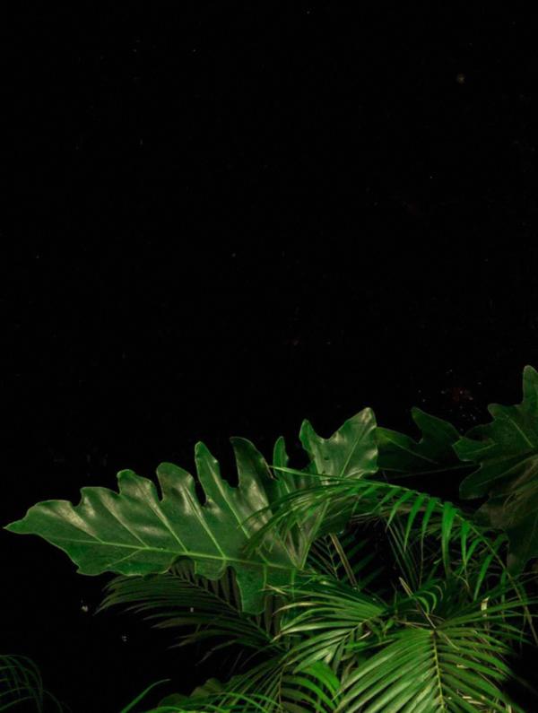 BAO-02--The-Yummy-Boy