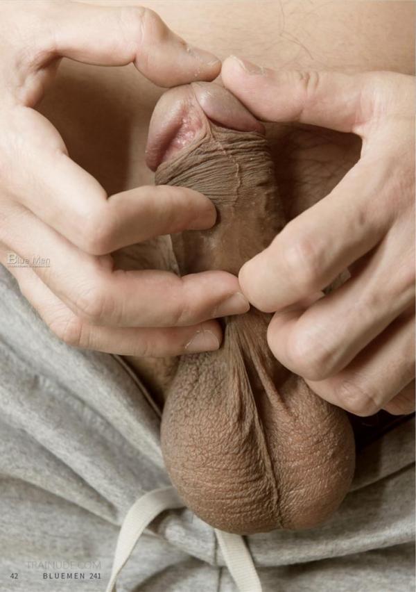 Blue-Men-No.241-EbookVideo