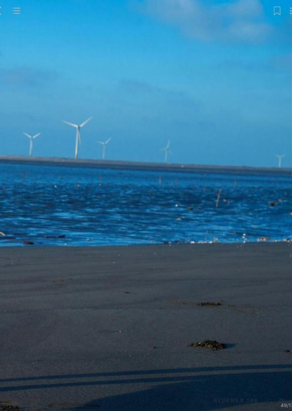 Blue-Men-no.251-ebook--cum-video