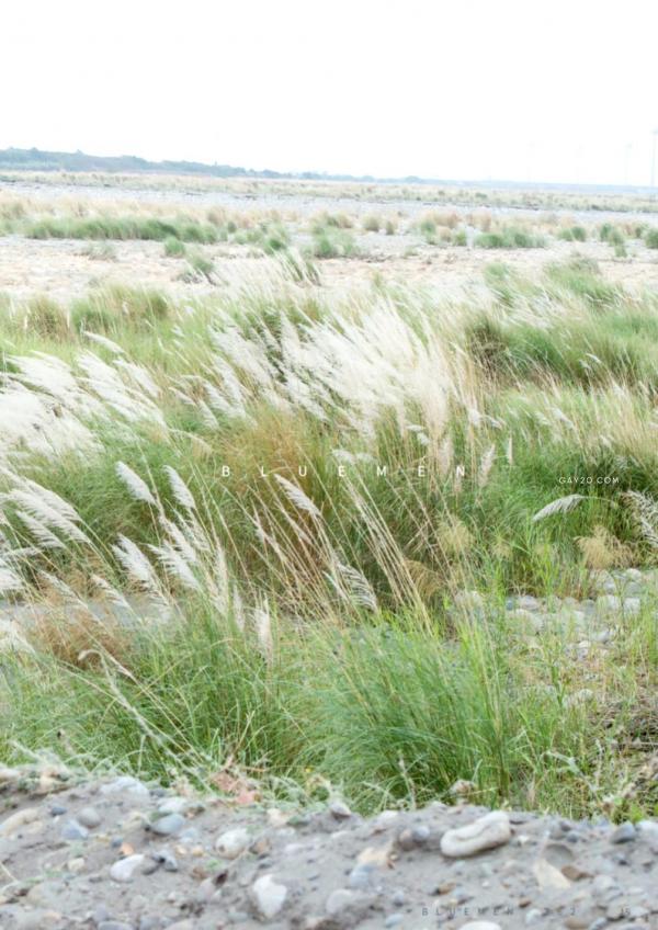 Blue-Men-no.262-ebook---video