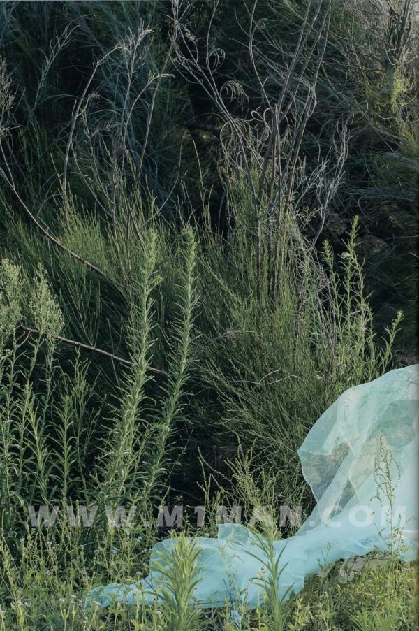 BlueMen-014--Men’s-Milk-Attraction