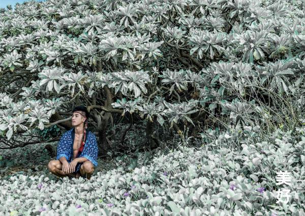 BlueMen-186--EbookVideo-