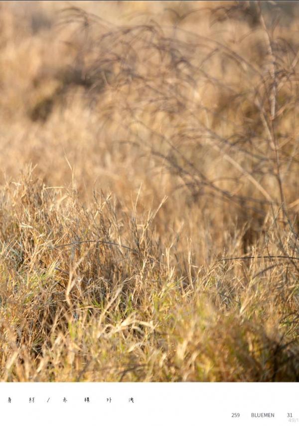 BlueMen-259--EbookVideo-