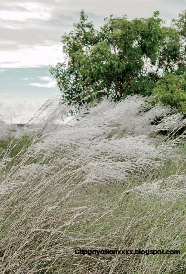 Bluephoto-藍攝-36-舞動王子-REVISED-VERSION