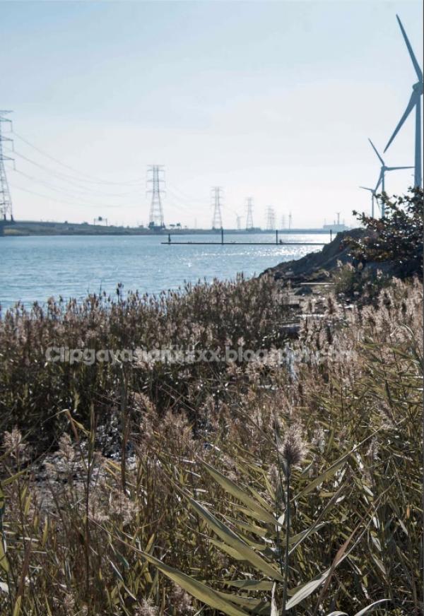 Bluephoto-藍攝-51-優雅文青型男--NICK-全見版