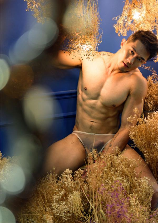 Brothers-Vol.16---TODE