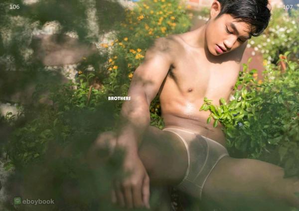 Brothers-Vol.25--Diamond