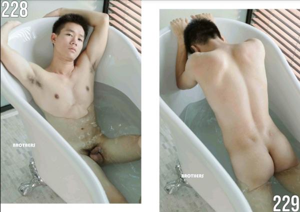 Brothers-Vol.27.2--HON