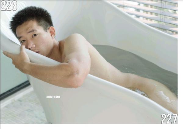 Brothers-Vol.27.2--HON