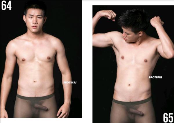 Brothers-Vol.27.2--HON