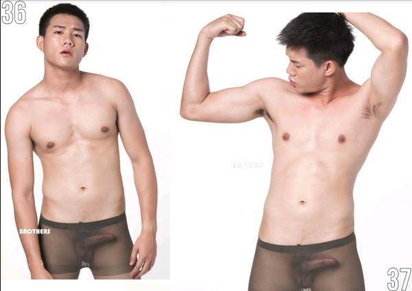 Brothers-Vol.27.2--HON