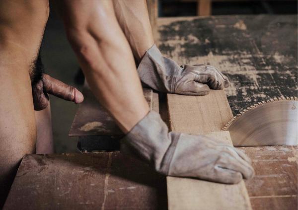 FOXX-02--The-Wood-Worker--EbookVideo-