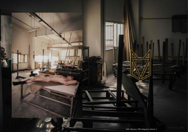 FOXX-02--The-Wood-Worker--EbookVideo-