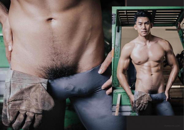 FOXX-02--The-Wood-Worker--EbookVideo-