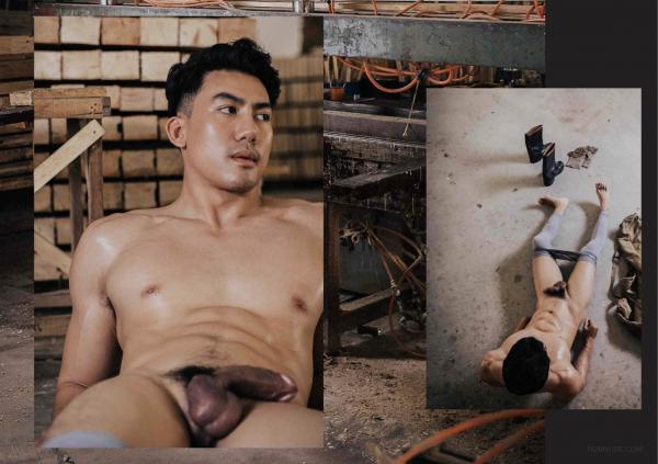 FOXX-02--The-Wood-Worker--EbookVideo-