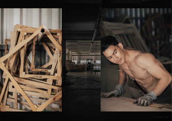 FOXX-02--The-Wood-Worker--EbookVideo-