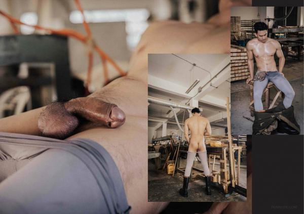 FOXX-02--The-Wood-Worker--EbookVideo-