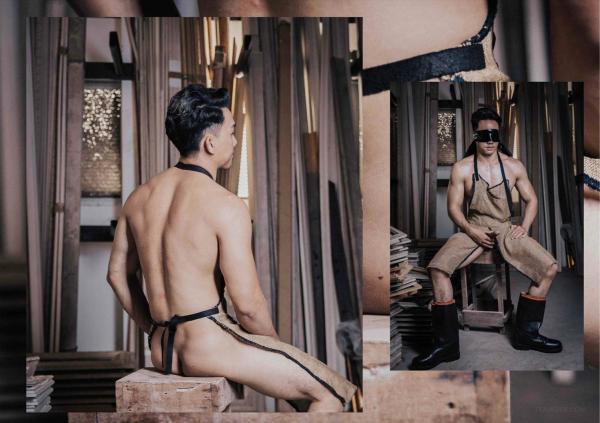 FOXX-02--The-Wood-Worker--EbookVideo-