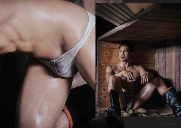 FOXX-02--The-Wood-Worker--EbookVideo-