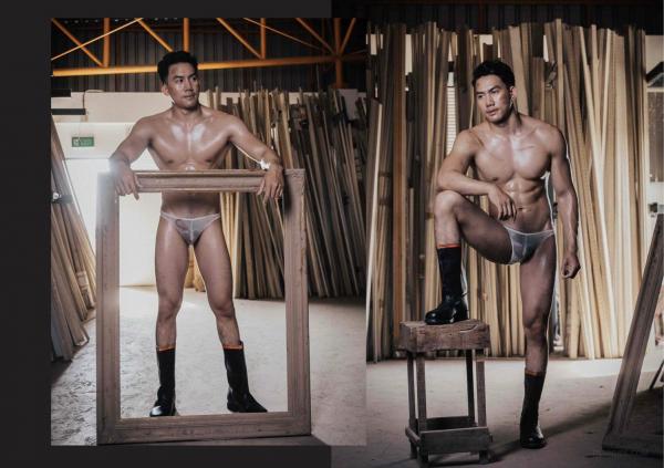 FOXX-02--The-Wood-Worker--EbookVideo-