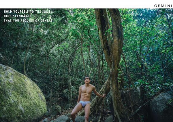 Gemini-07--Oat-Panu-Rudeerus