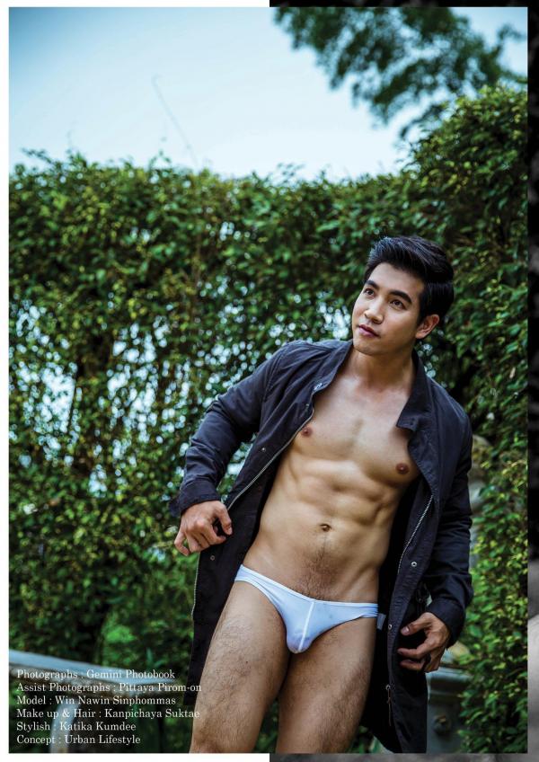 Gemini-11----Win-Nawin-Sinphommas