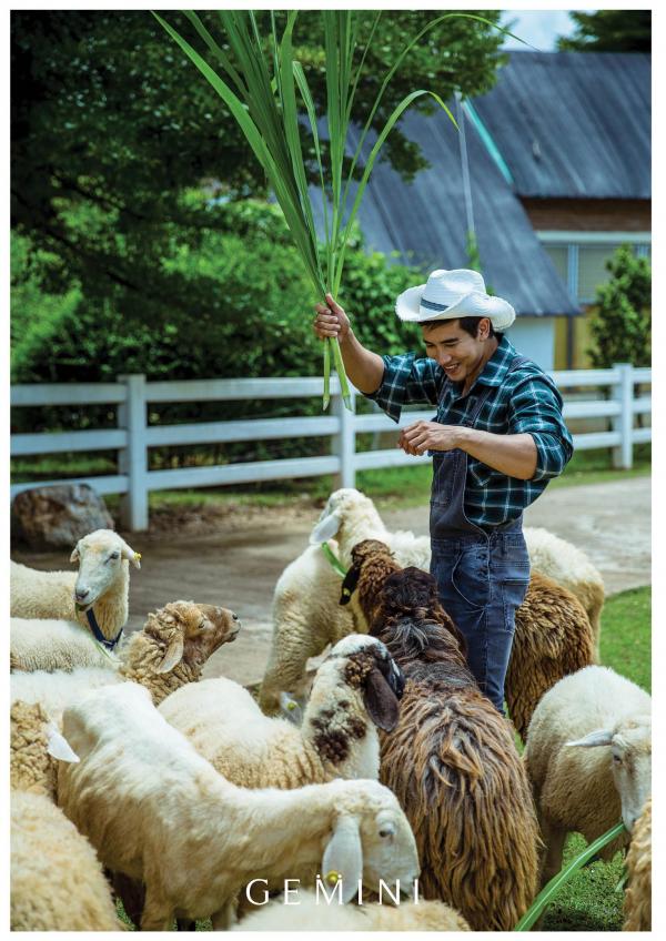 Gemini-11----Win-Nawin-Sinphommas