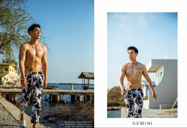 Gemini-14--Akkharat-Na-Nakhon