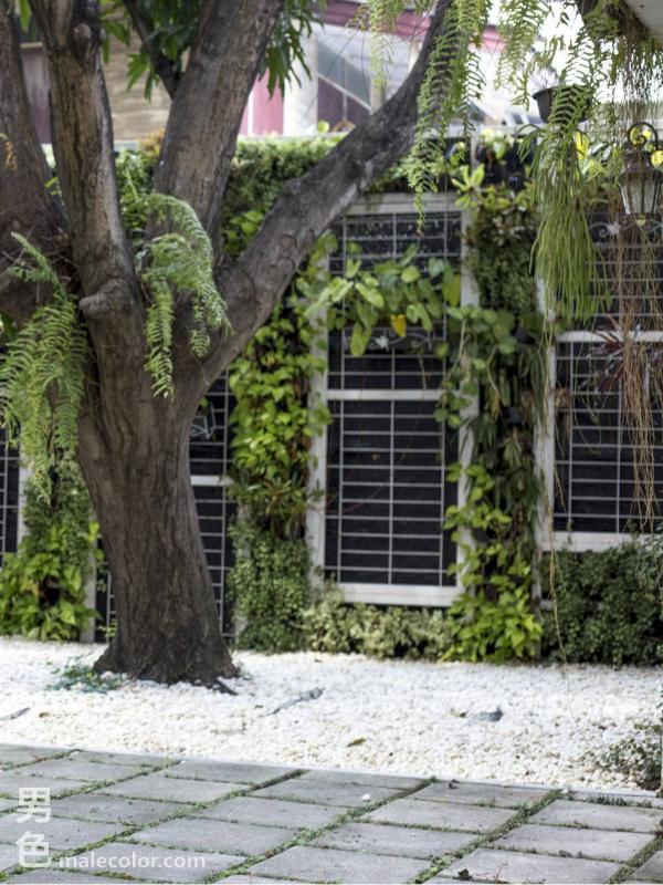 HiMM-6--Kridsadatharn