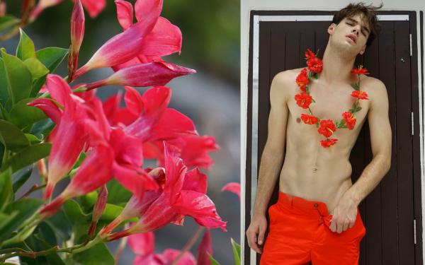 Homme-vol1--Silveron