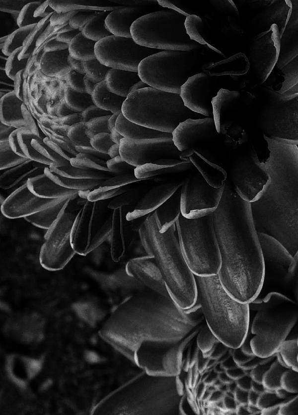 Homme-vol1--Silveron