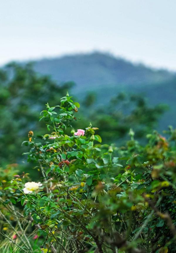 Menluscious--Issue-02---Fame-Krittapat