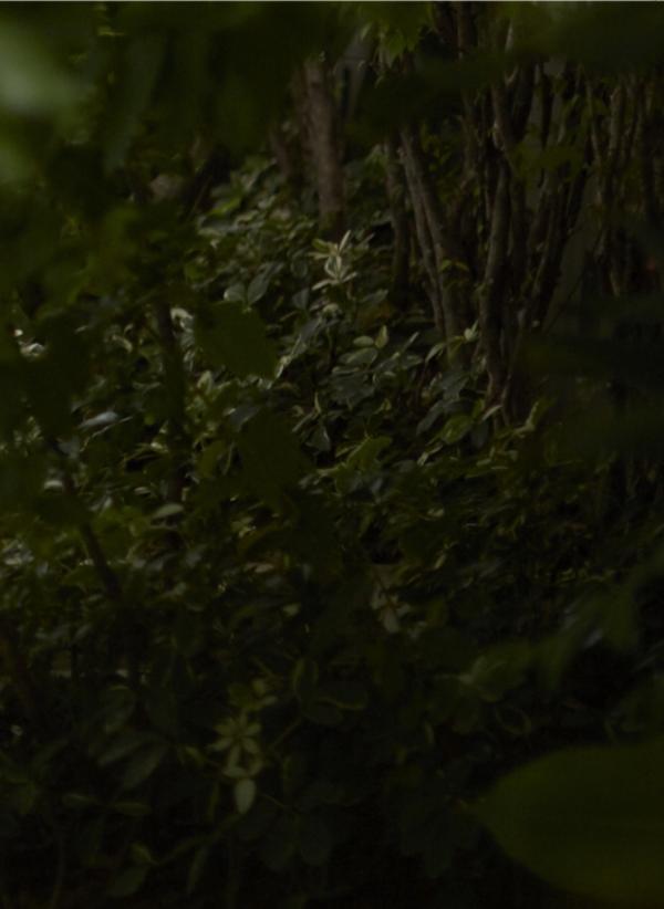 NoGriD-Men-Issue-11--TOP