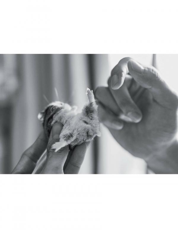 Nogrid-Men-Issue-01---Arm