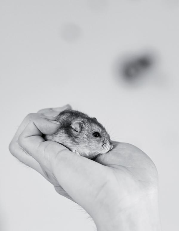 Nogrid-Men-Issue-01---Arm