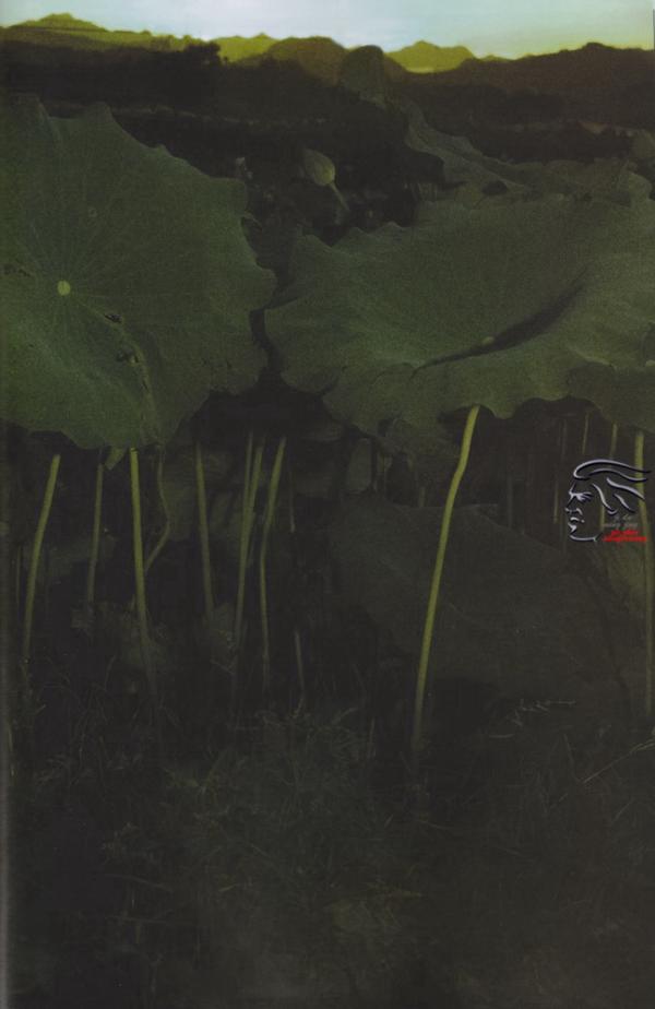 PHOTO-SET--任东風---新古典中國風寫真集