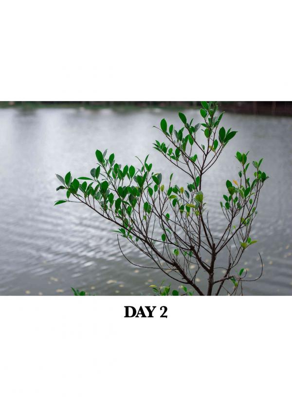 REPICK-01---Earth-Woraphong