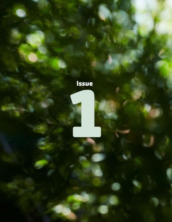 RareRoot-Issue-01---Nut