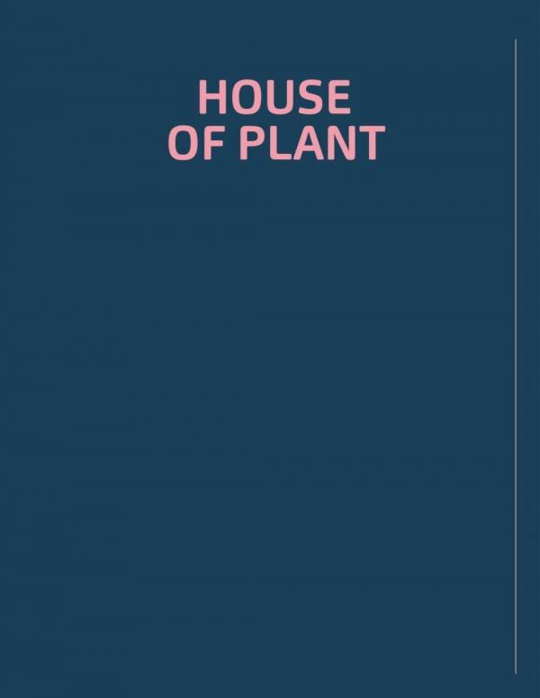 RareRoot-Issue-01---Nut