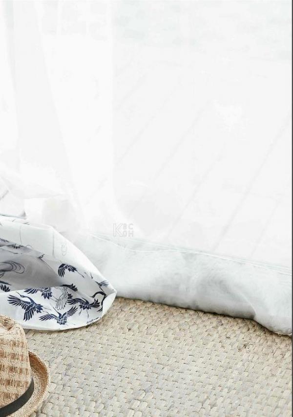 Riziist-Magazine-Issue-03-–-PALM-amp-TOR